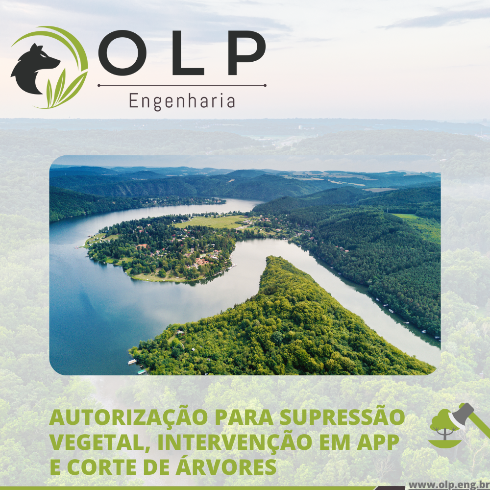 Olp Engenharia Intervenção Em App E Supressão De Vegetação Nativa 5364